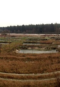 view-of-Yoshikigoi-farm