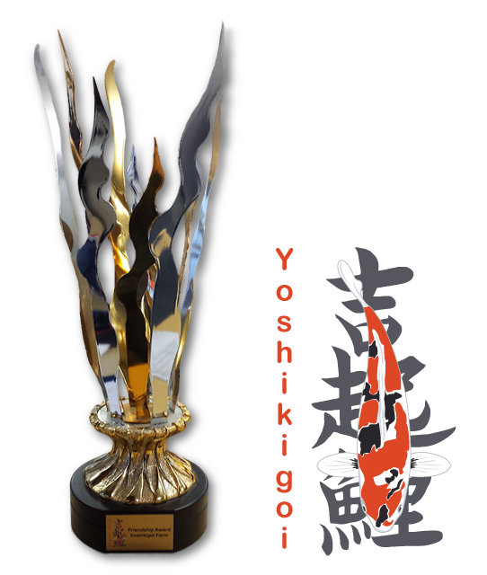 Yoshikigoi Farm Friendship Award Holland Koi Show 2013
